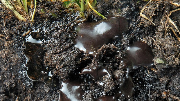 Terrains contaminés : héritage empoisonné